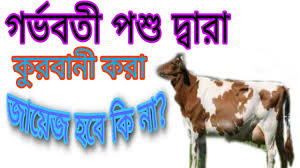 কুরবানীর পশু গন্তব্যে (মক্কা) পৌঁছার পূর্বেই অবসন্ন হয়ে পড়লে কি করতে হবে ?